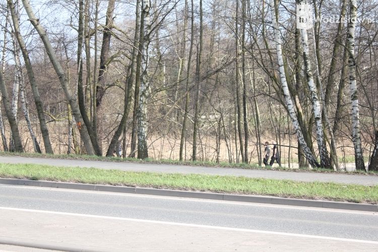 W Leśnicy znaleziono nogi kobiety. Policjanci przeczesują teren, mk