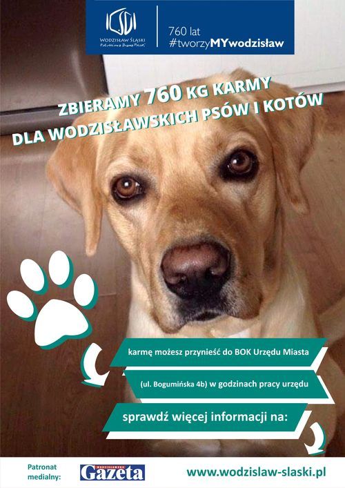 Miasto zbiera 760 kg karmy dla wodzisławskich psów i kotów, UM Wodzisławia