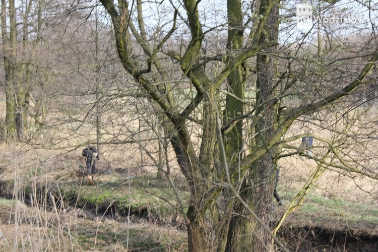 W Leśnicy znaleziono nogi kobiety. Policjanci przeczesują teren, mk