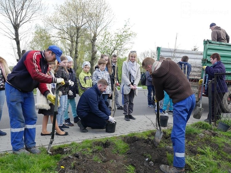 Akcja sadzenia drzew w Rodzinnym Parku Rozrywki, mk, UM Wodzisławia