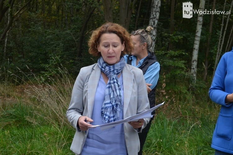 Konsultacje w sprawie wycinki drzew na Batorym jeszcze w październiku, Wacław Wrana