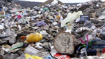 Wodzisław: są już harmonogramy wywozu odpadów na 2017 rok