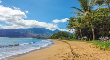 Zagubieni na hawajskiej plaży…doskonale piszą po angielsku