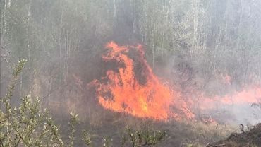 Wodzisławskich strażaków prześladują płonące trawy! To prawdopodobnie podpalenia