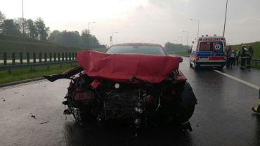 Jaguar blokował autostradę A1