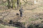 W Leśnicy znaleziono nogi kobiety. Policjanci przeczesują teren, 