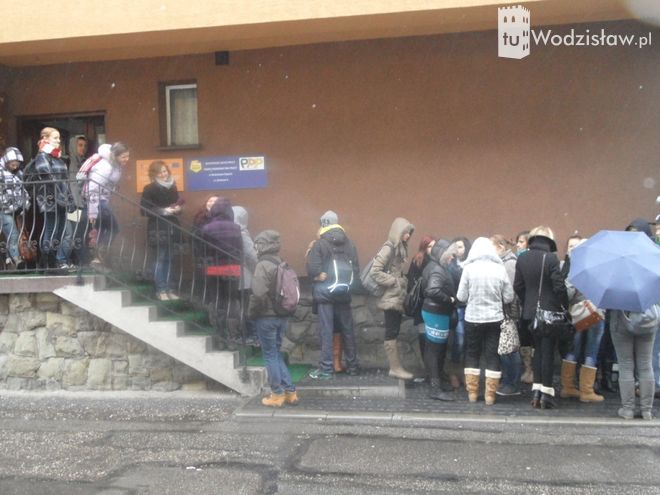 Tłumy podczas targów pracy w Wodzisławiu.
