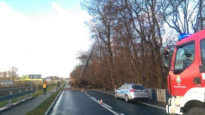 DK 78 w Gorzycach: wiatr przyczyną utrudnień na drodze, Policja