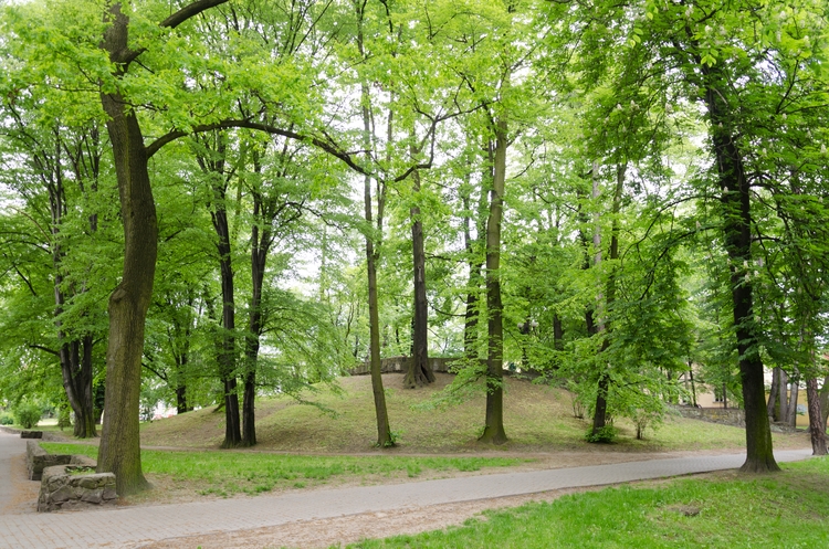 Kopiec w Parku Miejskim fot. Muzeum w Wodzisławiu
