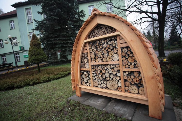 W Radlinie powstaną korytarze ekologiczne dla pszczół, Marek Gajda