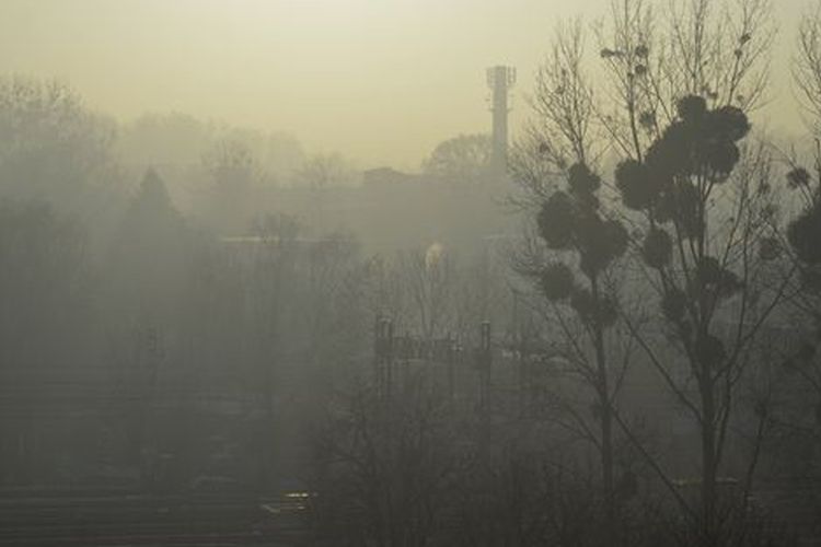 Alarm smogowy III stopnia: normy przekroczone o 400%!, bf