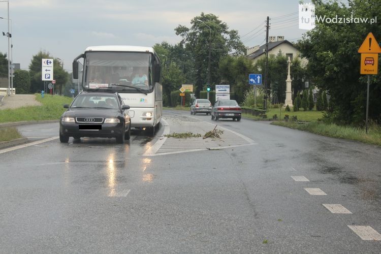 Połamane drzewa, zalane ulice. Nawałnica nad Wodzisławiem, mk