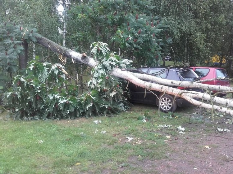 Drzewa łamały się jak zapałki. Dwie osoby przygniecione w Olzie, KPPSP Wodzisław Śl.