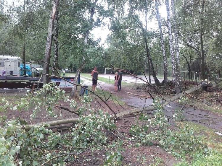 Drzewa łamały się jak zapałki. Dwie osoby przygniecione w Olzie, KPPSP Wodzisław Śl.