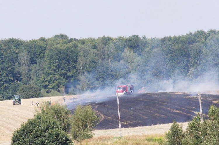 Strażacy walczyli z pożarem ścierniska w Marklowicach, Marcelina Sosna