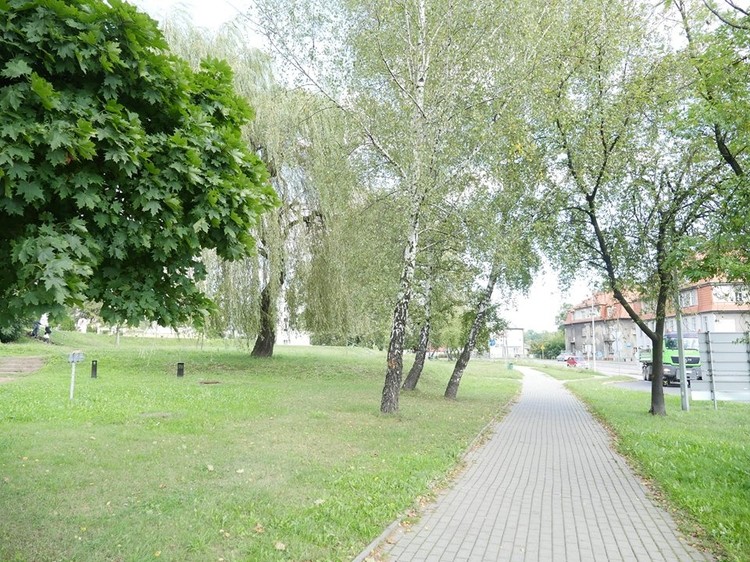 Te tereny zielone w Wodzisławiu zyskają nowy wygląd, UM Wodzisławia