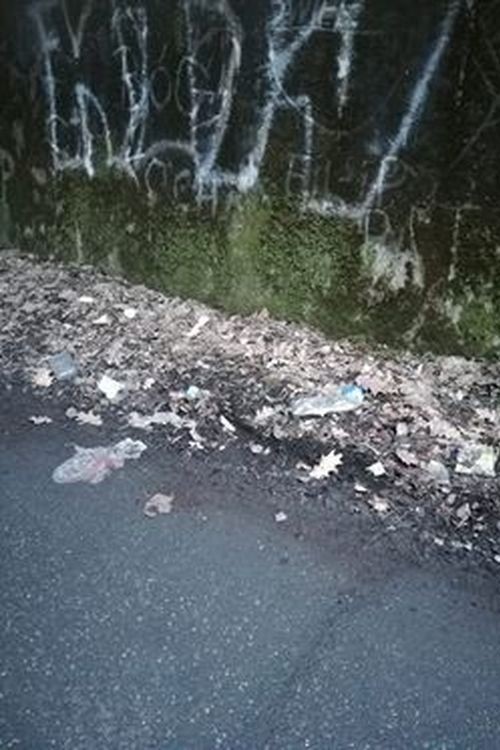 Śmieci przy Leśnicy i torach w Wodzisławiu, zdjęcia czytelnika