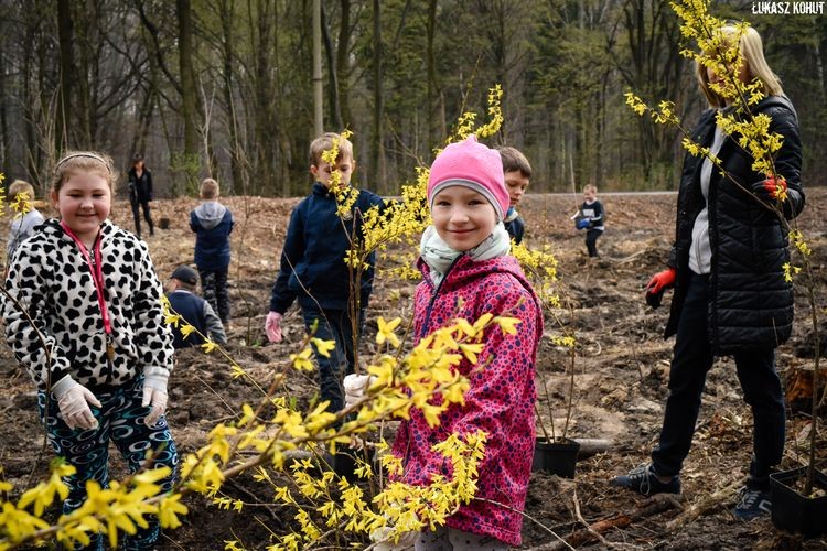 Uczniowie, mieszkańcy i leśnicy sadzili las w Radlinie, Łukasz Kohut, Tomasz Raudner