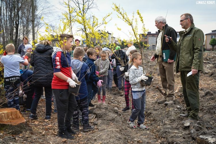 Uczniowie, mieszkańcy i leśnicy sadzili las w Radlinie, Łukasz Kohut, Tomasz Raudner