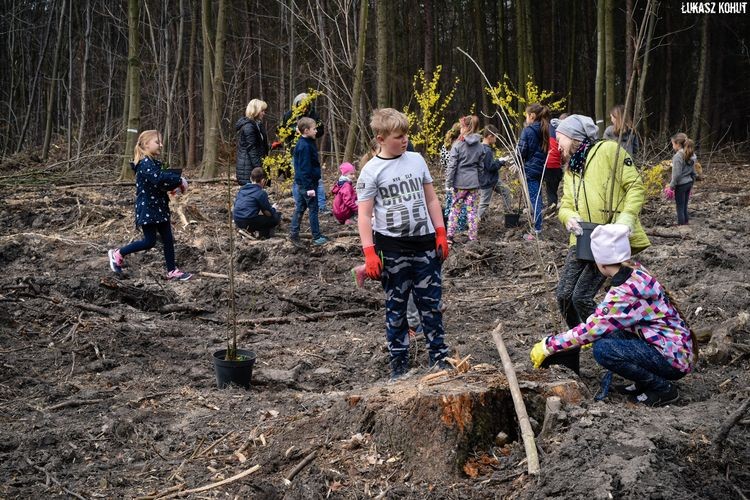 Uczniowie, mieszkańcy i leśnicy sadzą las w Radlinie, Łukasz Kohut, Tomasz Raudner