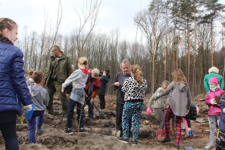 Uczniowie, mieszkańcy i leśnicy sadzą las w Radlinie, Łukasz Kohut, Tomasz Raudner