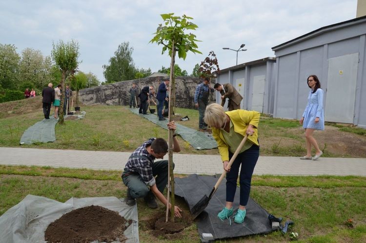 Uczniowie rozwiązali test o ekologii, a samorządowcy posadzili drzewka, Starostwo Powiatowe w Wodzisławiu Śląskim