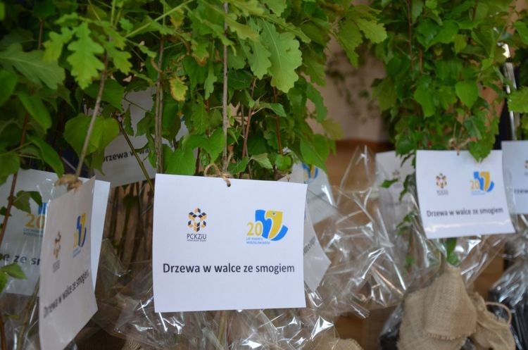 Uczniowie rozwiązali test o ekologii, a samorządowcy posadzili drzewka, Starostwo Powiatowe w Wodzisławiu Śląskim