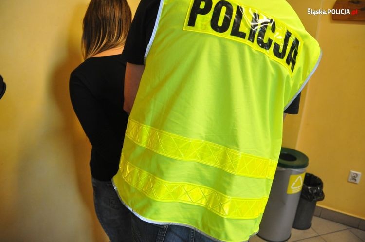 Wodzisław Śląski: policja rozbija grupę przestępczą, Policja Śląska