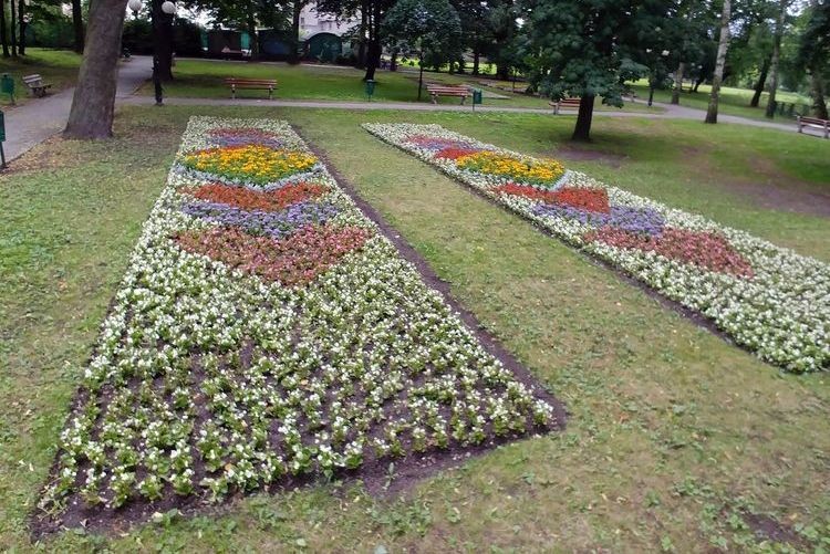 W Parku Miejskim pojawiły się kwietne dywany, Biuro Prezydenta Miasta