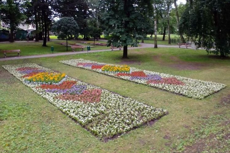 Dywany kwiatowe w Parku Miejskim, Biuro Prezydenta Miasta
