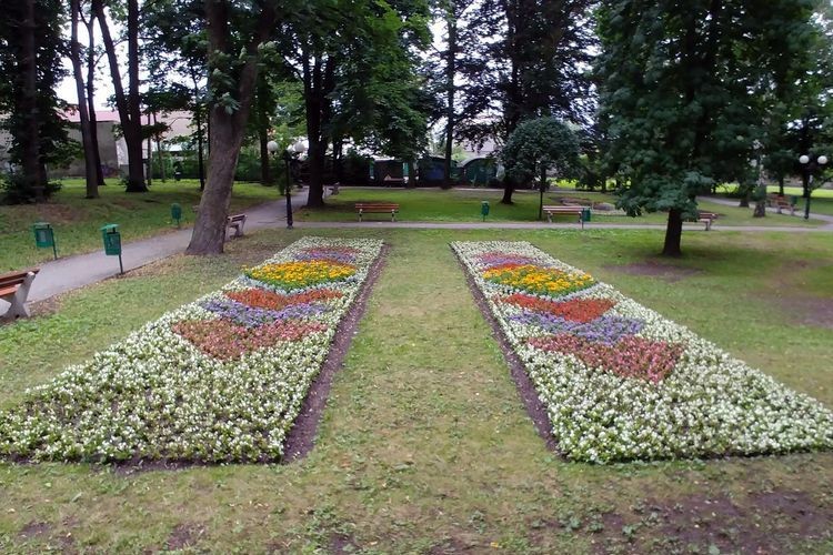 Dywany kwiatowe w Parku Miejskim, Biuro Prezydenta Miasta