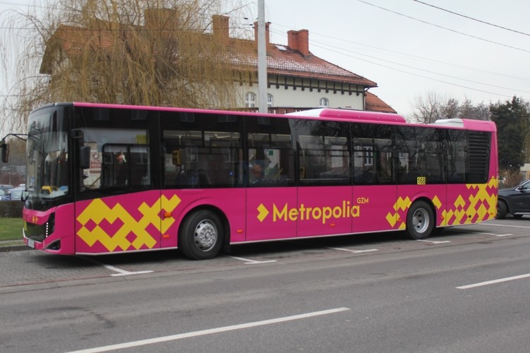 Nowy autobus pod Urzędem Miasta, Mateusz Szumilas
