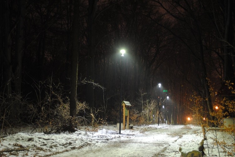 Radliński park ma już nowe oświetlenie, Materiały prasowe