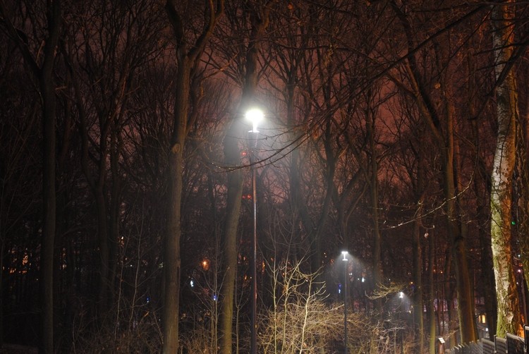 Radliński park ma już nowe oświetlenie, Materiały prasowe