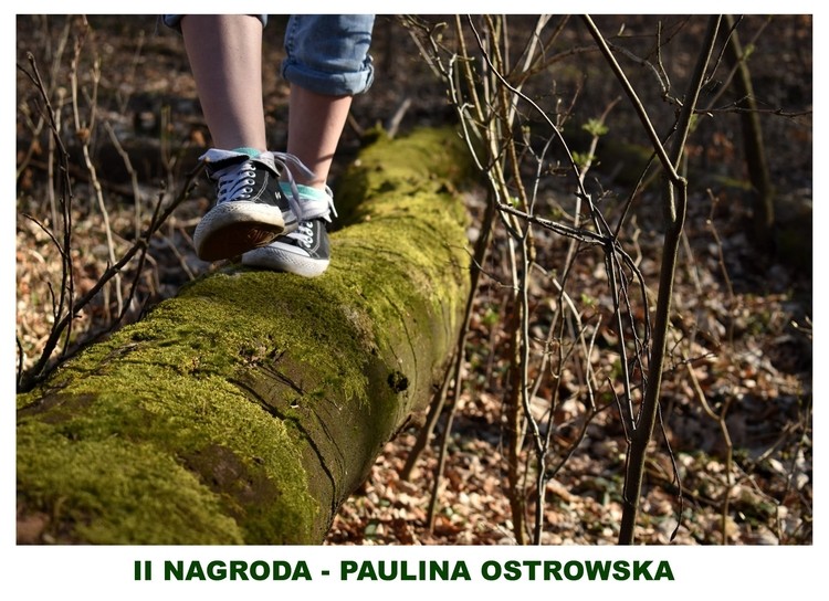 Piękne zdjęcia wiosny w obiektywie młodych fotografów!, Facebook/ uczniowie ZSP w Rydułtowach