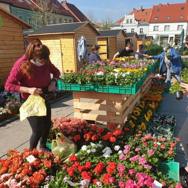 Kwiaty i „ogródki” - Rynek w Wodzisławiu dziś odżył, Redakcja, UM Wodzisław