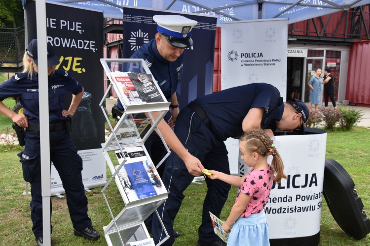 Festiwal Organizacji Pozarządowych przyciągnął dużo ludzi (zdjęcia), Starostwo Powiatowe w Wodzisławiu Śląskim