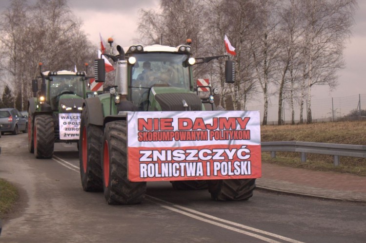 Protestują rolnicy w Gorzyczkach. Ponad 130 traktorów wyjechało na drogę [ZDJĘCIA], Kamil Budniok