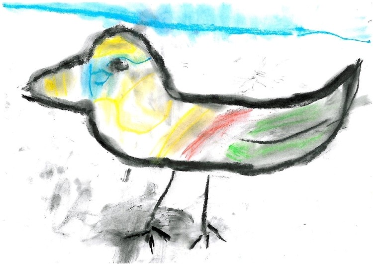 W WDK Czyżowice wybrano najpiękniejsze ptasie obrazy, materiały prasowe WDK Czyżowice