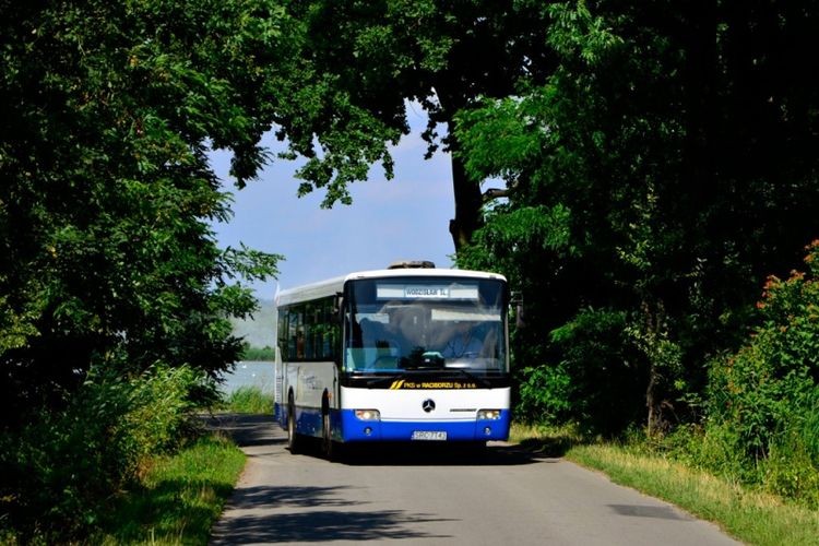 Bezpłatne bilety PKS na Dzień Dziecka, 