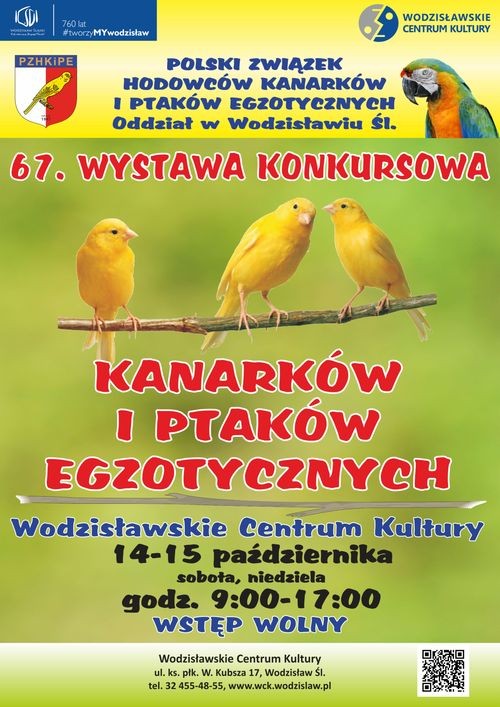 Kilkaset ptaków hodowcy zaprezentują na wystawie w Wodzisławiu, Wodzisławskie Centrum Kultury