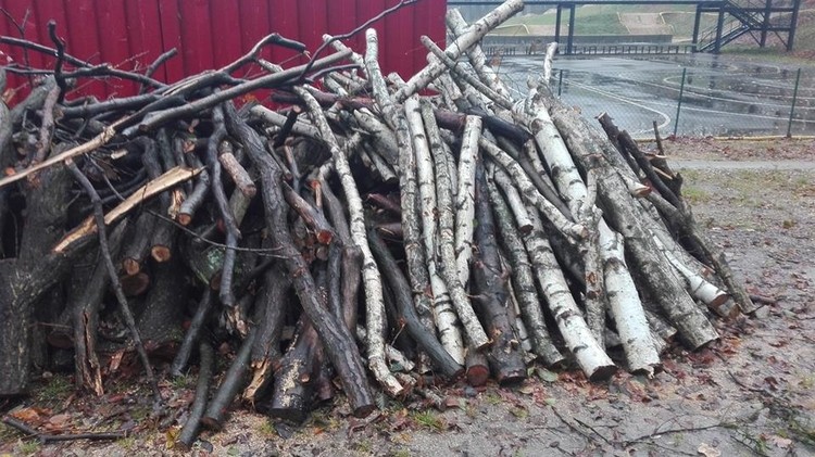 Rodzinny Park Rozrywki: kilkadziesiąt drzew poszło pod topór. Dlaczego?, Grażyna Pietyra/Facebook