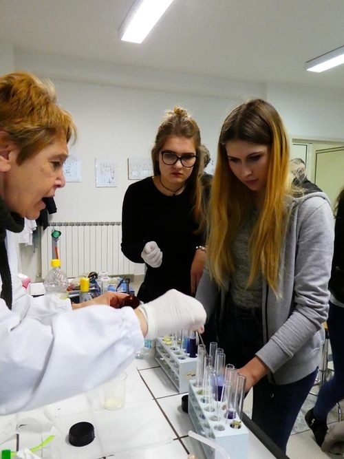 Uczniowie wodzisławskiej „Jedynki” pojechali do Włoch na lekcje chemii, Starostwo Powiatowe w Wodzisławiu Śląskim