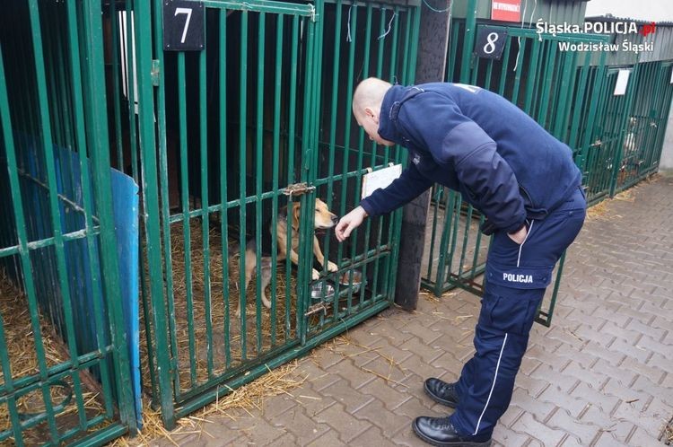 100 kg karmy dla zwierząt podarowali policjanci, Policja Wodzisław Śląski