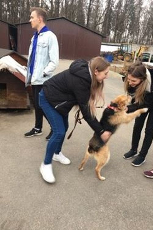 Uczniowie IVB TG pomagają psom z przytuliska (zdjęcia), zdjęcia czytelnika