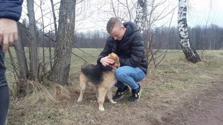 Uczniowie IVB TG pomagają psom z przytuliska (zdjęcia), zdjęcia czytelnika