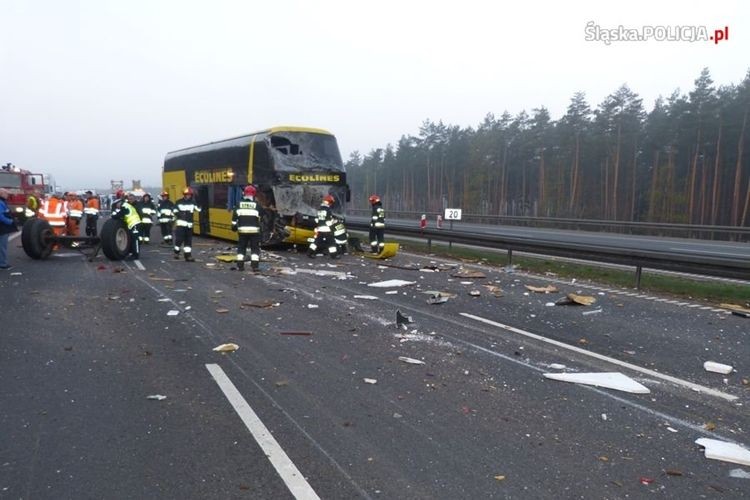 Na autostradzie autobus zderzył się z traktorem przewożącym lamy i wielbłądy, Policja Śląska