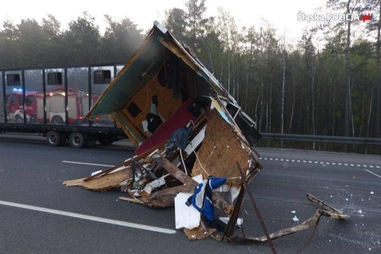 Na autostradzie autobus zderzył się z traktorem przewożącym lamy i wielbłądy, Policja Śląska