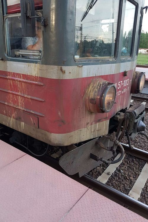 Czytelnik: „tak zarzyganego pociągu nie widziałem”, zdjęcie czytelnika