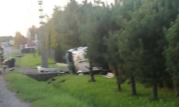 Mszana. Pies wbiegł na ulicę, doszło do wypadku, Facebook/Wodzisław Śląski i okolice-Informacje drogowe 24H